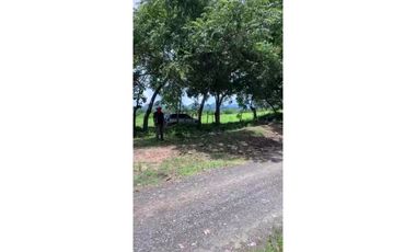 Se vende Terreno de 5 Hectareas en Penonomé
