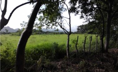 Se vende Terreno de 5 Hectareas en Penonomé