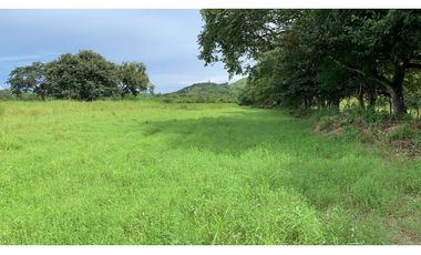 Se vende Terreno de 5 Hectareas en Penonomé