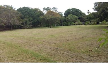 VENTA TERRENOS SAN CARLOS