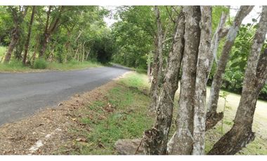 VENTA TERRENOS SAN CARLOS