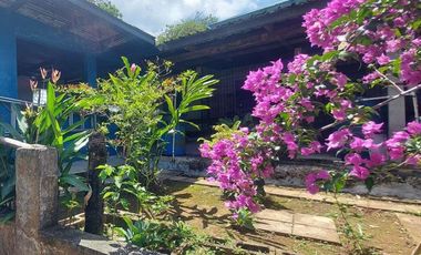 Se vende finca en Nueva Providencia, Colón