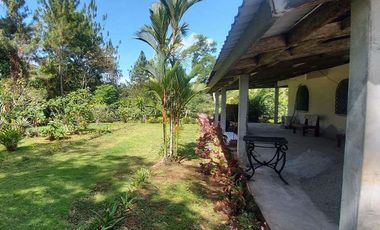 Se vende finca en Nueva Providencia, Colón