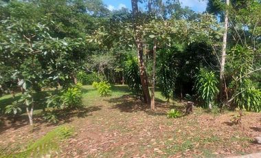 Se vende finca en Nueva Providencia, Colón