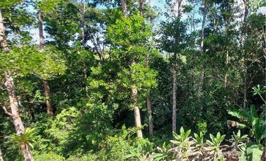 Se vende finca en Nueva Providencia, Colón