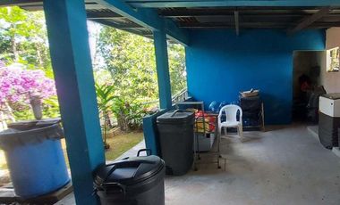 Se vende finca en Nueva Providencia, Colón
