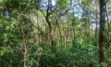 Se vende finca en Nueva Providencia, Colón