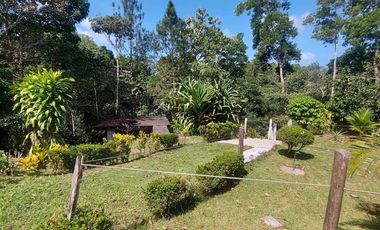 Se vende finca en Nueva Providencia, Colón