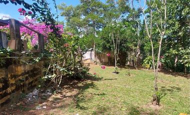 Se vende finca en Nueva Providencia, Colón