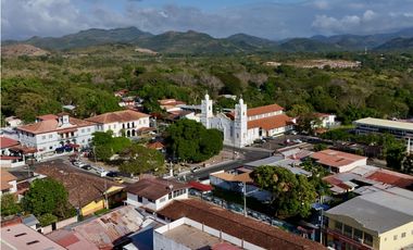 Se Vende Casa en Calle Damián Carles, Penonomé