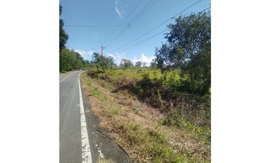 Finca Venta Gualaca Vía Principal