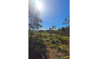 Finca Venta Gualaca Vía Principal