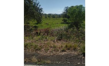 Finca Venta Gualaca Vía Principal