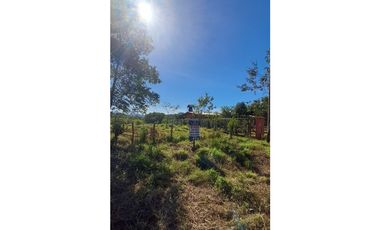 Finca Venta Gualaca Vía Principal