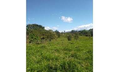 Finca Venta Gualaca Vía Principal