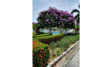 Se Vende apartamento PH Rodman, Bijao (MZ)