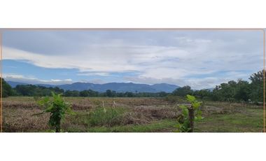 Terreno en Pacora (ID 13409)