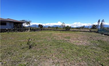Lote para la venta en El Francés, Alto Boquete, Boquete