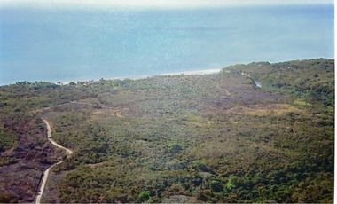 Vendo Finca de 36 Hectáreas con Vista al Mar