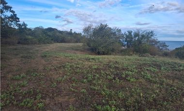 Vendo Finca de 36 Hectáreas con Vista al Mar