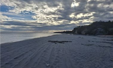 Vendo Finca de 36 Hectáreas con Vista al Mar