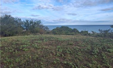 Vendo Finca de 36 Hectáreas con Vista al Mar