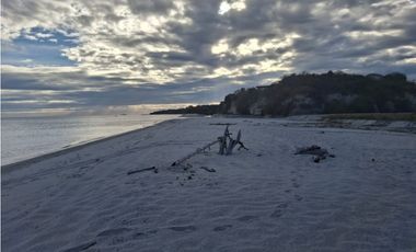 Vendo Finca de 36 Hectáreas con Vista al Mar