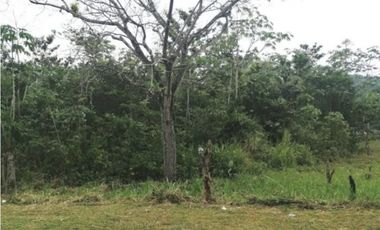 Se vende terreno en Capira, Panamá Oeste ( CG-D)