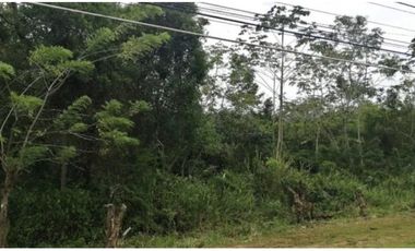 Se vende terreno en Capira, Panamá Oeste ( CG-D)