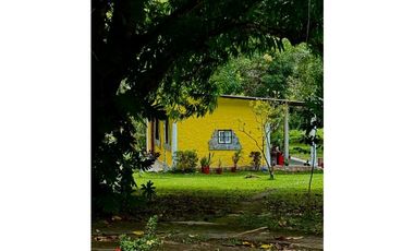 Espectacular Finca en Cermeño, Capira - Panamá Oeste (MS)