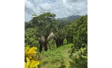 Espectacular Finca en Cermeño, Capira - Panamá Oeste (MS)