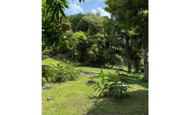 Espectacular Finca en Cermeño, Capira - Panamá Oeste (MS)