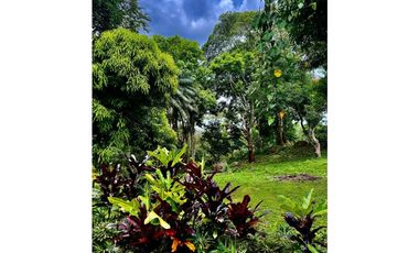Espectacular Finca en Cermeño, Capira - Panamá Oeste (MS)