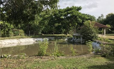Venta de terreno frente al mar en Nueva Gorgona, Chame
