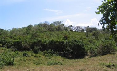 VENTA DE TERRENO EN CERRO AZUL