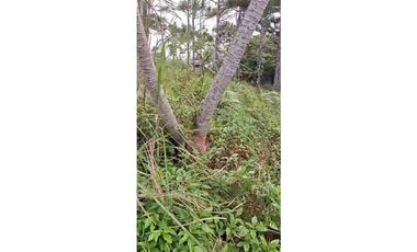 VENTA DE TERRENO EN CERRO AZUL