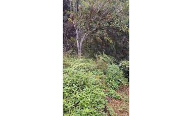 VENTA DE TERRENO EN CERRO AZUL