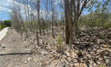 Se Vende Terreno en San Carlos Mata Palo