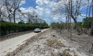 Se Vende Terreno en San Carlos Mata Palo