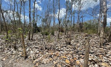 Se Vende Terreno en San Carlos Mata Palo