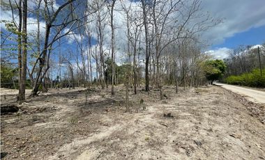 Se Vende Terreno en San Carlos Mata Palo