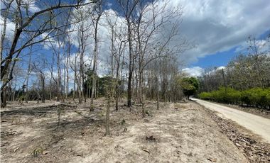 Se Vende Terreno en San Carlos Mata Palo