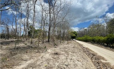 Se Vende Terreno en San Carlos Mata Palo