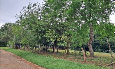 Lote Comercial  con 4 calles en Dolega – Cerca de la Vía Boquete