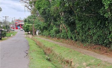 Lote Comercial  con 4 calles en Dolega – Cerca de la Vía Boquete