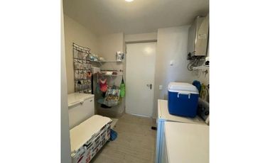 Solea en Punta Barco (ID 13402) 