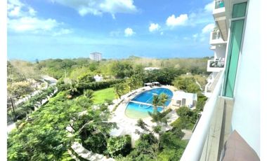 Solea en Punta Barco (ID 13402) 