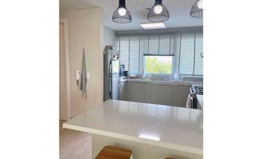 Solea en Punta Barco (ID 13402) 