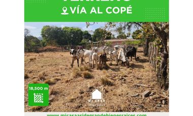 SE VENDE TERRENO EN POTRERO T04