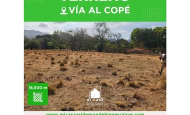 SE VENDE TERRENO EN POTRERO T04
